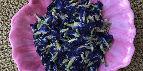 Butterfly Pea