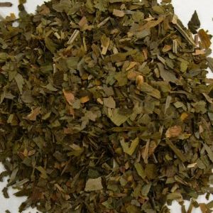 Ginkgo Biloba
