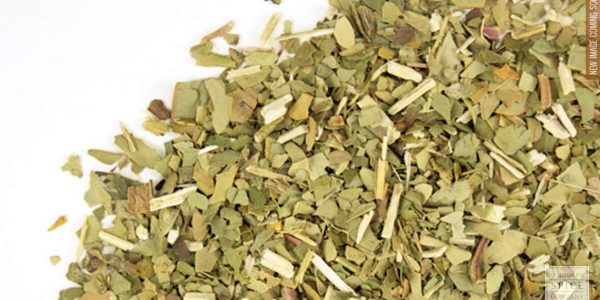 Yerba Maté